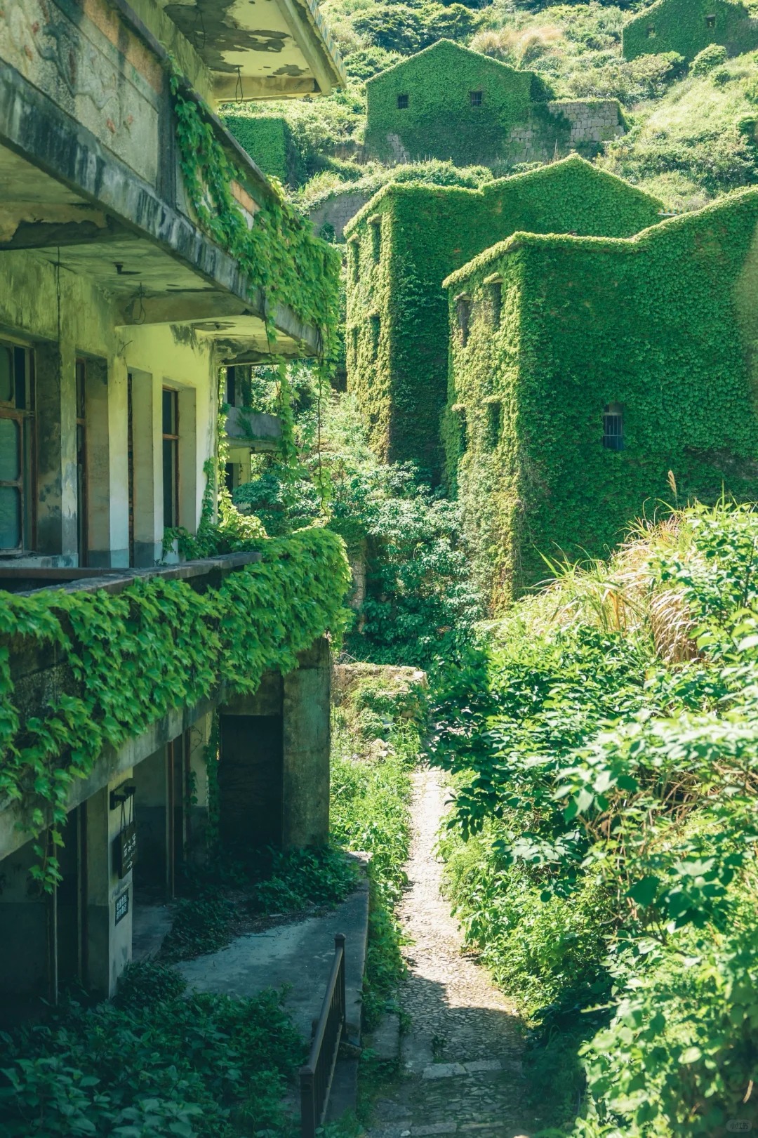 在浙江小岛上，我找到了遗失的“失落村庄”🍃_